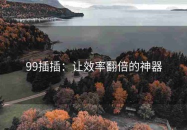 99插插：让效率翻倍的神器