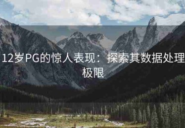 12岁PG的惊人表现：探索其数据处理极限