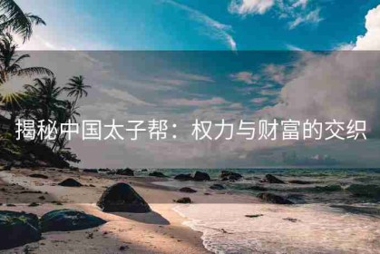揭秘中国太子帮：权力与财富的交织