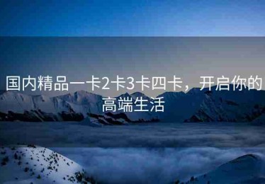 国内精品一卡2卡3卡四卡，开启你的高端生活