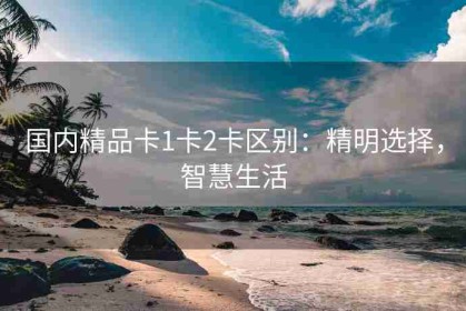 国内精品卡1卡2卡区别：精明选择，智慧生活
