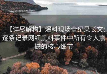 【详尽解构】爆料现场全纪录长文：逐条记录网红黑料事件中所有令人震撼的核心细节