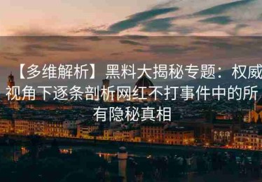 【多维解析】黑料大揭秘专题：权威视角下逐条剖析网红不打事件中的所有隐秘真相