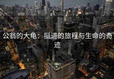 公翁的大龟：挺进的旅程与生命的奇迹