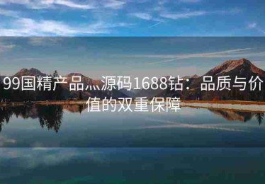 99国精产品灬源码1688钻：品质与价值的双重保障