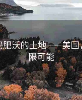 耕种妈妈肥沃的土地——美国，成就无限可能