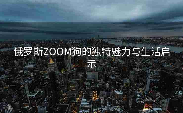 俄罗斯ZOOM狗的独特魅力与生活启示